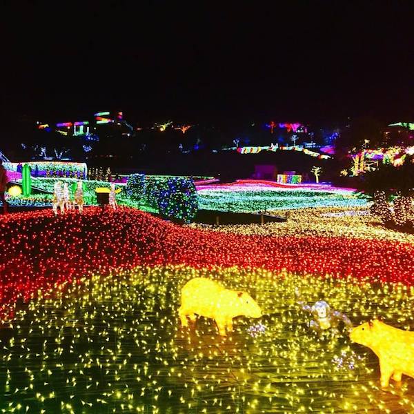  日本黑夜「閃亮樂園」．親子「戰鬥力」