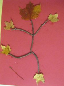 幼兒樹葉drawing．學觀察