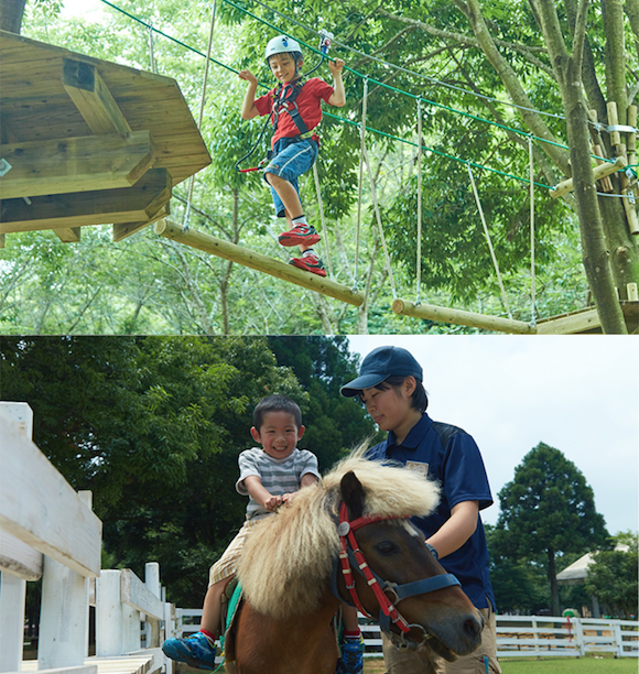 「森林家族」農莊．「動物+飛索+水戰」全接觸