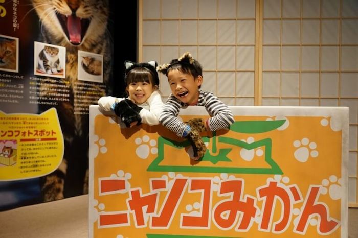 日本限定‧兒童「扮貓」樂園