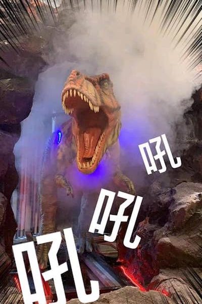 台灣「恐龍射擊」樂園・限定版