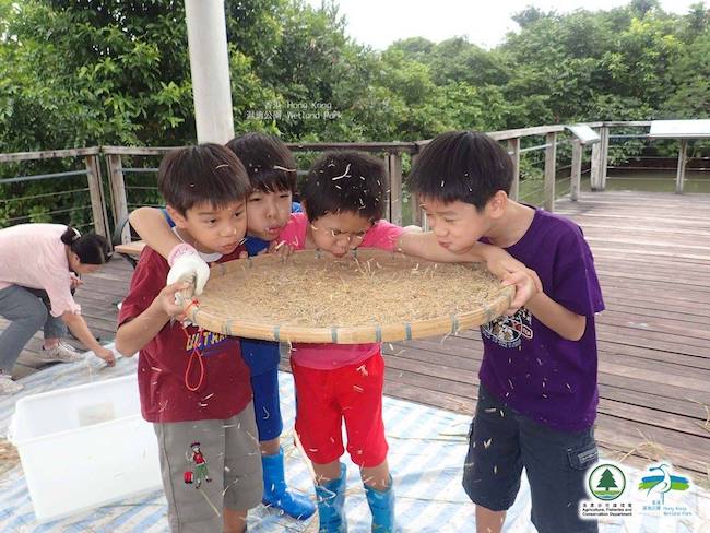 濕地童樂夏日營- 反斗濕地@免費