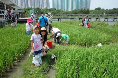 濕地童樂夏日營- 反斗濕地@免費