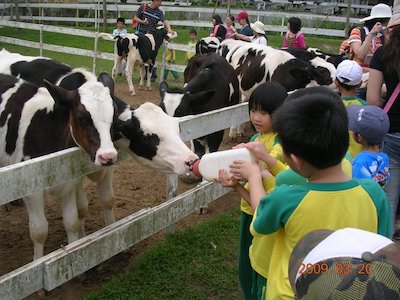 台灣「童話」牧場．親子「避世」遊玩