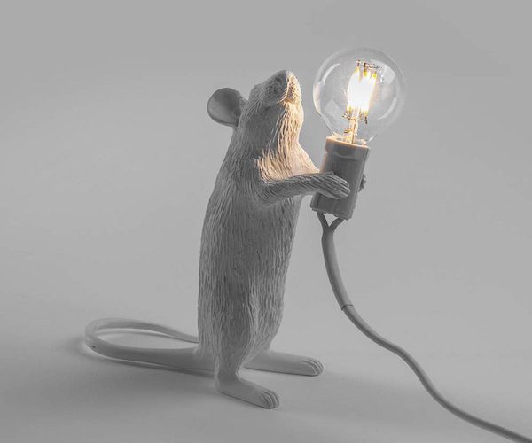 閃亮「老鼠燈」．照亮人心