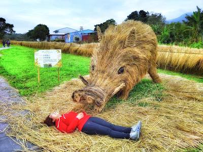 巨型「稻草動物」．台灣親子上場