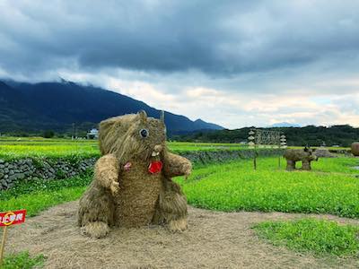 巨型「稻草動物」．台灣親子上場